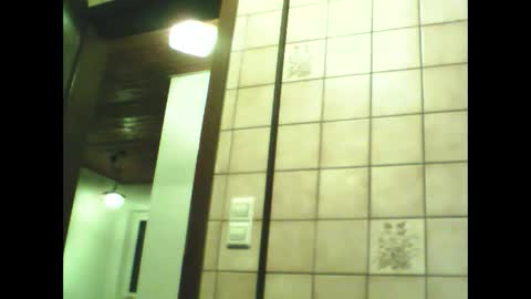 schnibschnab online show from November 30, 8:46 pm