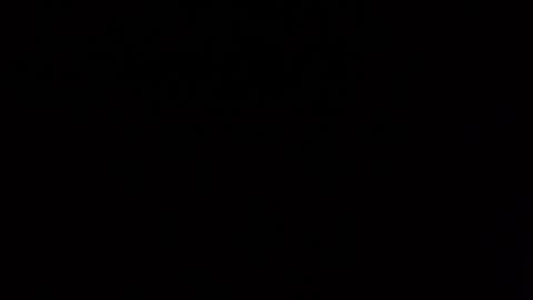 scottdior online show from October 19, 8:26 am