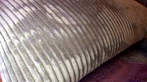 Snapshot of scotty2hotty46_ chatting on February 21, 5:41 am scotty2hotty46_ online show from February 21, 5:41 am