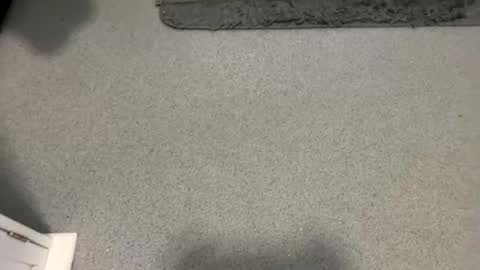 Snapshot of scottyc48 chatting on October 5, 2:04 pm scottyc48 online show from October 5, 2:04 pm