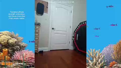 ScrubbyLuv online show from February 26, 7:07 am