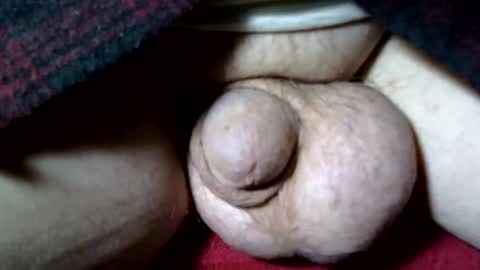 seeus24 online show from November 10, 7:07 am