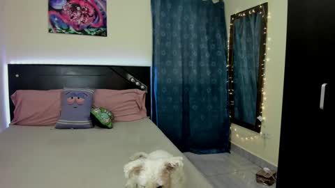 Sele online show from January 17, 2:39 am