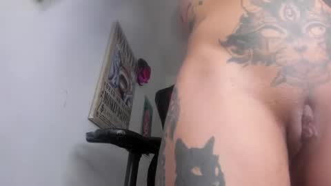  Selinna Kyle  online show from January 6, 12:37 am