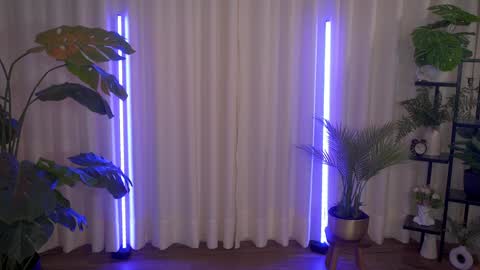 Maria- OF sensual bee online show from December 6, 12:23 am