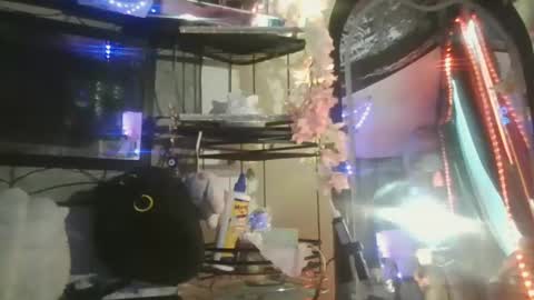 Snapshot of sequoia8888 chatting on October 29, 7:26 pm sequoia8888 online show from October 29, 7:26 pm