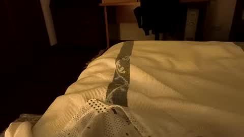 Snapshot of sevenorder chatting on January 20, 5:04 am sevenorder online show from January 20, 5:04 am