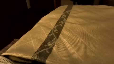 Snapshot of sevenorder chatting on January 21, 6:43 am sevenorder online show from January 21, 6:43 am