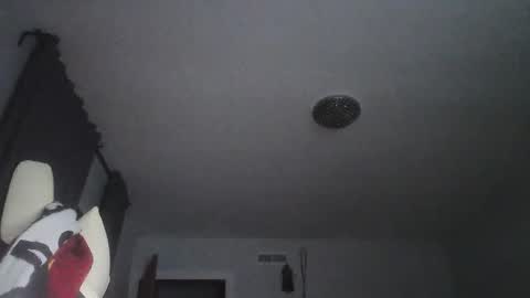 sexbrute online show from May 17, 1:03 am