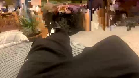 sexpest32 online show from January 18, 9:07 pm