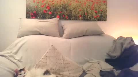 Sexurbation online show from December 10, 3:01 pm