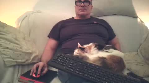 Sexurbation online show from November 17, 8:14 pm