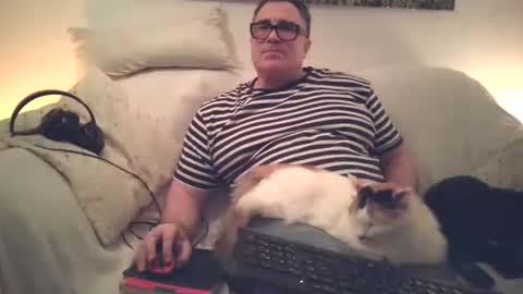 Sexurbation online show from November 29, 6:33 pm