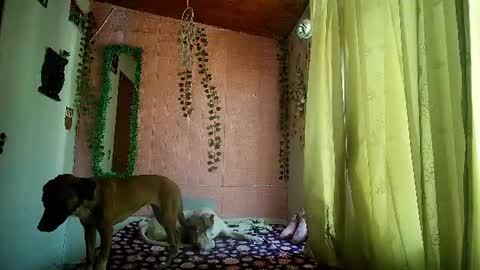 Snapshot of sexy_lolas chatting on July 17, 8:46 pm sexy lolas online show from July 17, 8:46 pm