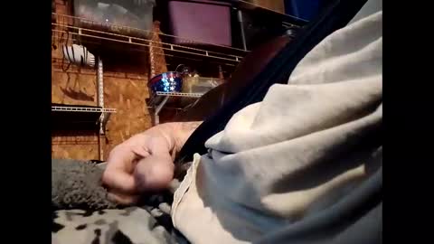 Snapshot of sexy_richy chatting on November 1, 1:57 pm    RICHY    online show from November 1, 1:57 pm