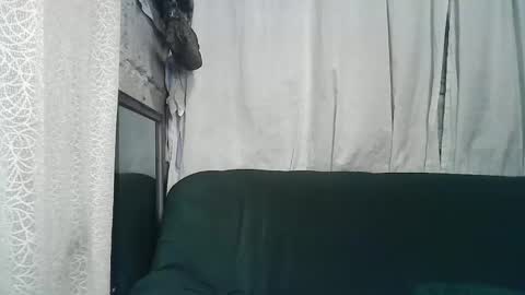 Snapshot of sexy_zapphire2024 chatting on December 5, 8:55 pm sexy_zapphire2024 online show from December 5, 8:55 pm