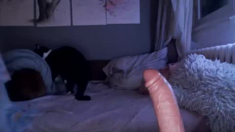Snapshot of sexyella25 chatting on February 21, 10:04 pm .... ............ Onlyfans online show from February 21, 10:04 pm