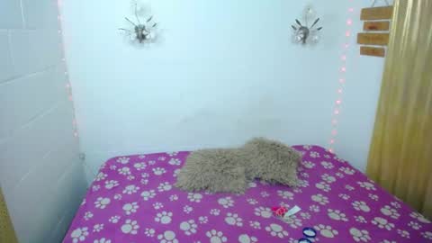 Snapshot of sexykata_of chatting on June 27, 11:32 pm Kata sexy online show from June 27, 11:32 pm