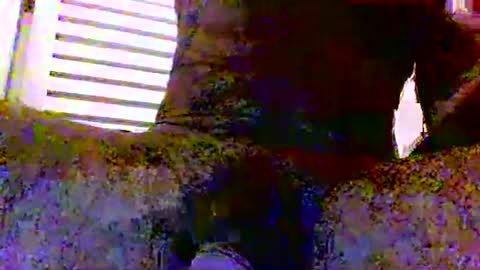 sexynudistdaddycockm online show from November 24, 5:51 am