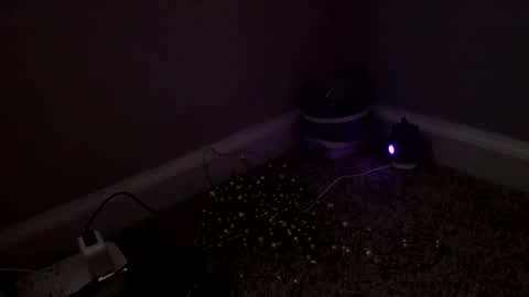 Snapshot of sgrbrnxxx chatting on March 4, 3:18 pm Sugar Brown online show from March 4, 3:18 pm