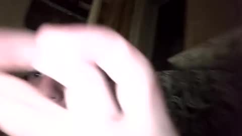 Snapshot of shamilka93 chatting on September 17, 7:59 pm Shamilka online show from September 17, 7:59 pm