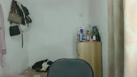 bini aiah online show from December 23, 2:31 am