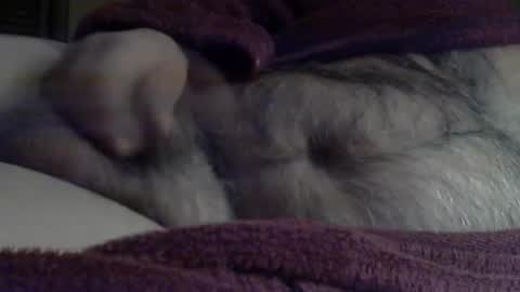 Snapshot of sharkey644 chatting on March 3, 9:04 am Sharkey644 online show from March 3, 9:04 am