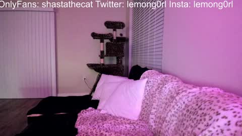 Snapshot of shastathecat chatting on December 15, 3:56 am Shasta online show from December 15, 3:56 am
