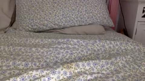 shavednsw online show from March 28, 8:58 am