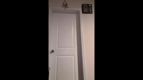 shawnstro online show from January 7, 4:31 pm