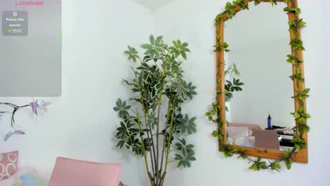 Shego  online show from November 26, 12:22 am