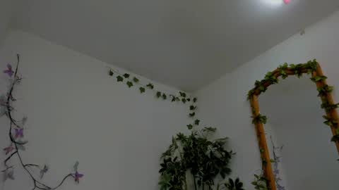 Shego  online show from July 6, 12:18 am