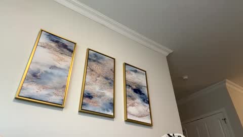 shines08092 online show from November 9, 3:10 pm