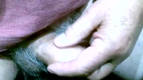 Snapshot of shootertog chatting on October 13, 10:48 am shootertog online show from October 13, 10:48 am