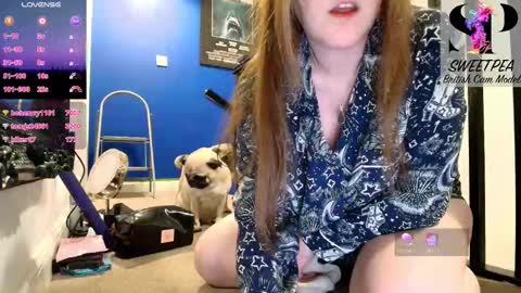 short sweetpea online show from January 15, 10:20 am