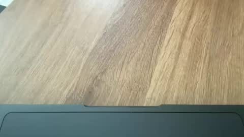 showflyer06 online show from November 3, 6:20 pm