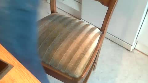 Snapshot of sibblii0 chatting on January 7, 7:42 am Seba online show from January 7, 7:42 am