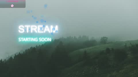 Allmylinkssilentmary666 online show from December 14, 3:01 am