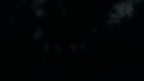 Silkey online show from December 10, 1:22 pm