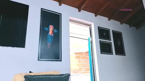 silvabranko online show from March 6, 9:11 pm