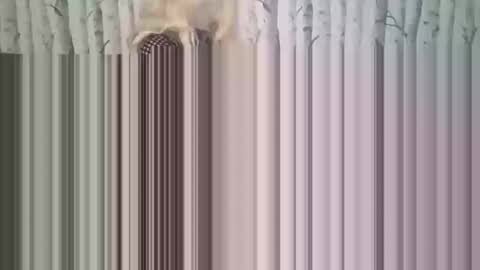 simontupin1973 online show from December 17, 1:33 am