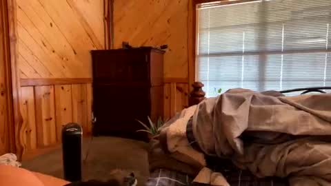 Snapshot of sinfull2022 chatting on February 1, 4:38 pm sinfull2022 online show from February 1, 4:38 pm