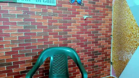 SIR RYANT online show from February 27, 12:34 pm