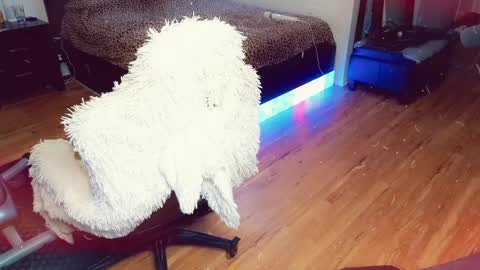 Snapshot of sissyashleigh chatting on April 21, 11:51 pm Ashleigh Mak online show from April 21, 11:51 pm