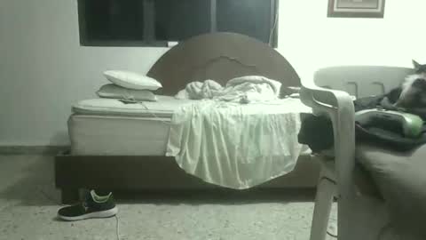 Snapshot of skanky_little_dolls chatting on November 27, 8:05 am skanky_little_dolls online show from November 27, 8:05 am