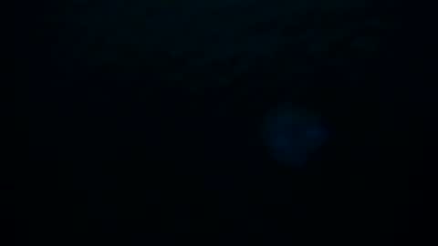 Snapshot of skarletsexy chatting on October 8, 2:20 am Skarlet online show from October 8, 2:20 am