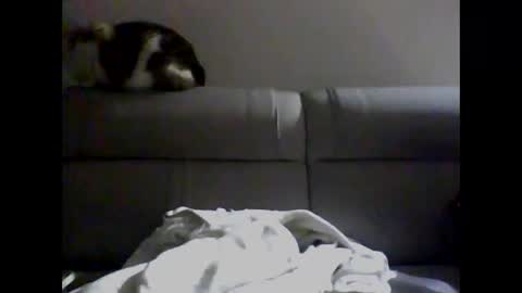 Snapshot of skater19xxx chatting on December 2, 4:09 am miguel online show from December 2, 4:09 am