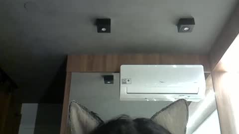 skinnykittencam online show from October 20, 1:39 am
