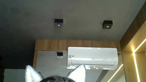 skinnykittencam online show from November 5, 3:56 pm