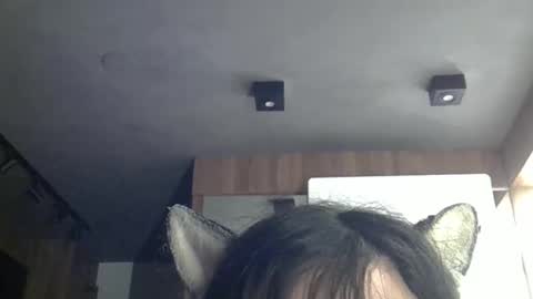 skinnykittencam online show from April 12, 4:28 am